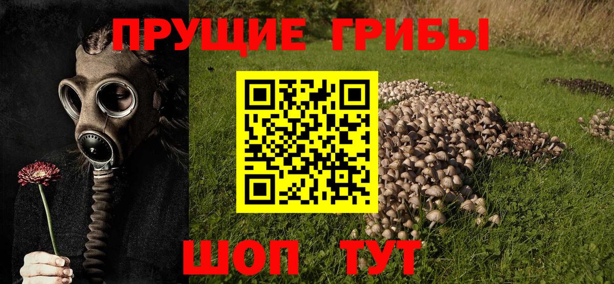 Галлюциногенные грибы мухоморы  наркотики  Губаха  Вход с VPN  Псилоцибиновые грибы GOLDEN TEACHER 